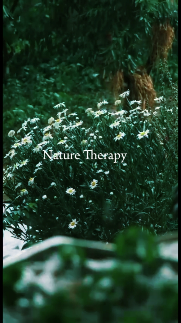NATURE THERAPY 