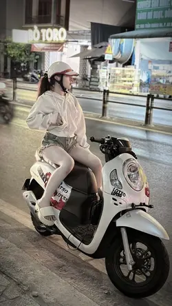 Trình Chiếu