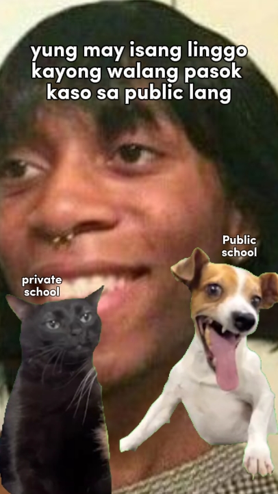 Hundekatze