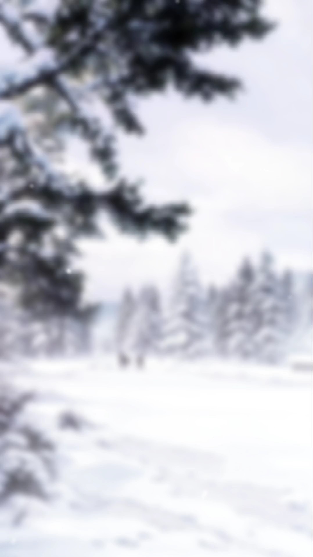 Snow Template