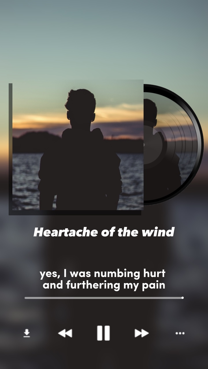 Vinyl Record