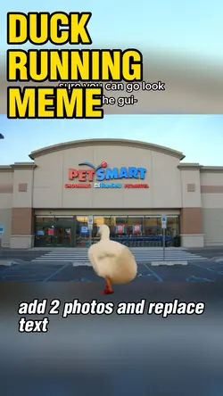 Duck Running Meme