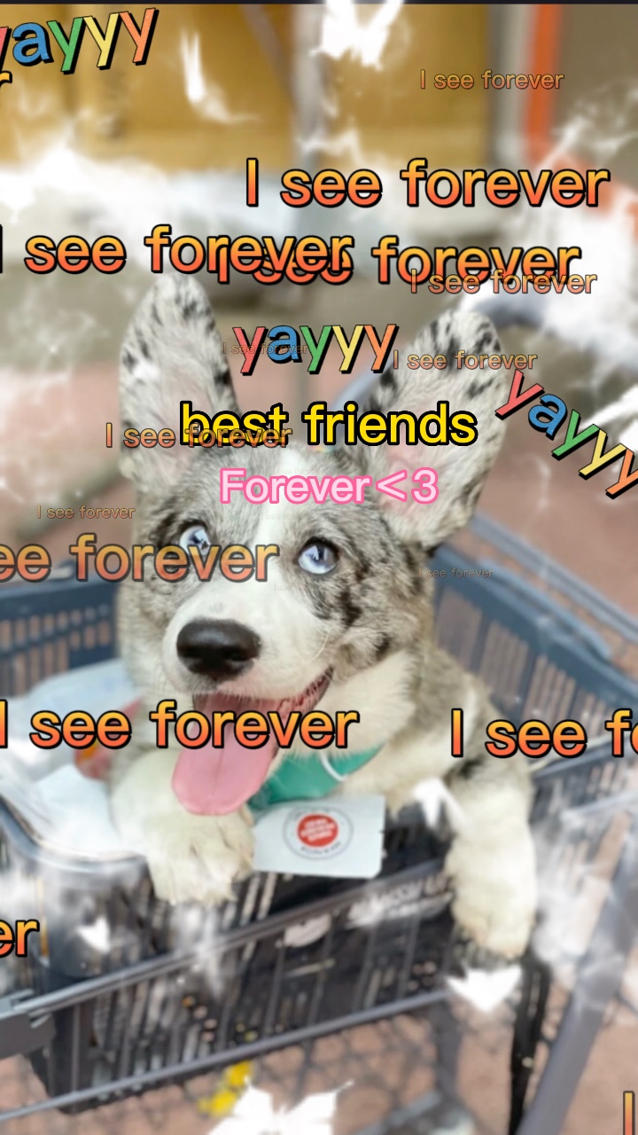 Forever＜3