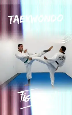 Taekwondo
