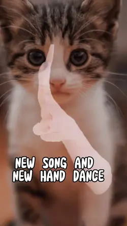 HAND DANCE transitio