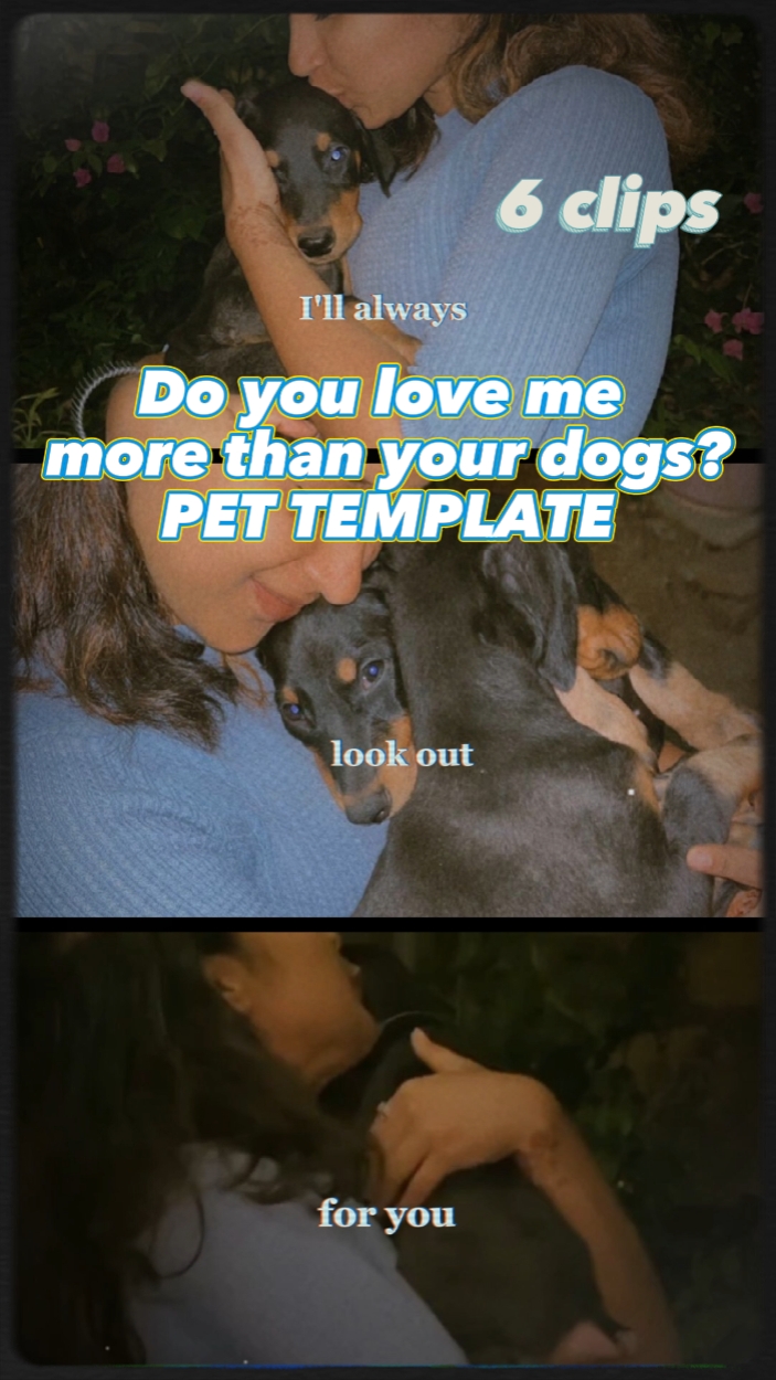 Mais que seus cachorros