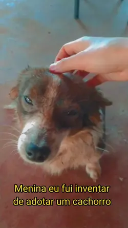 ADOTEI UM CACHORRO!!
