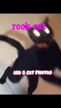 rock cat