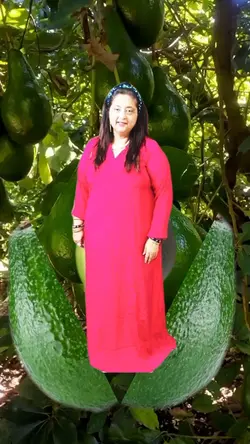 avocado