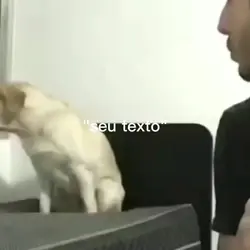 seu texto!