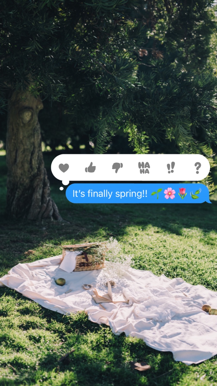 Text Message Spring