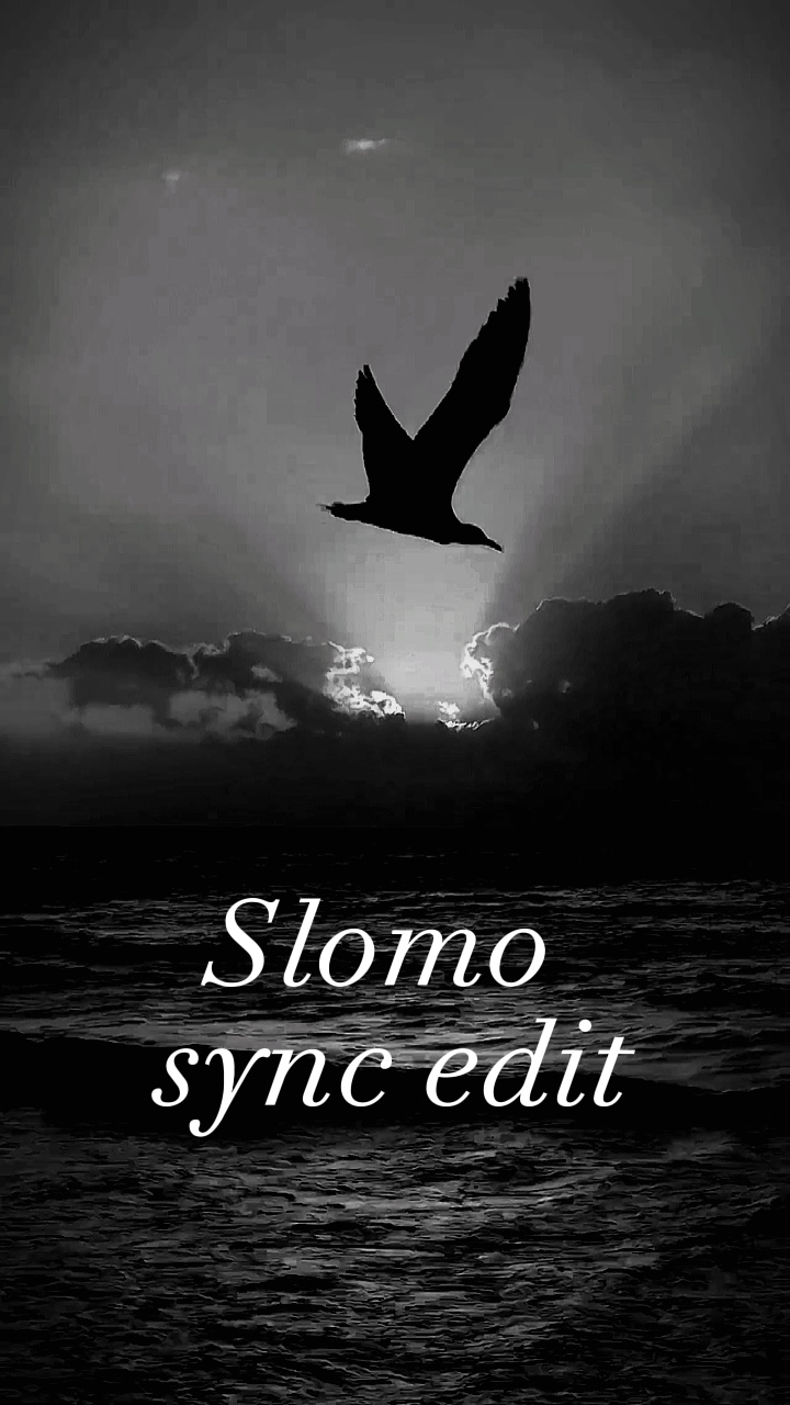 Slomo synchronisieren bearbeiten