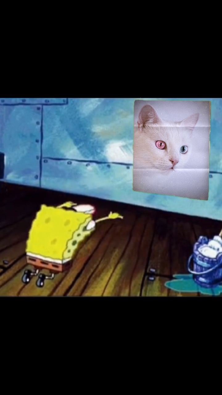 Bob Esponja
Bob Esponja