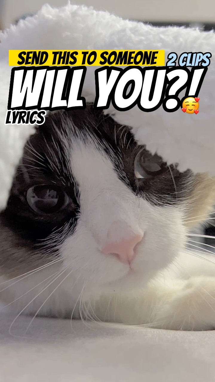 Wirst du?!