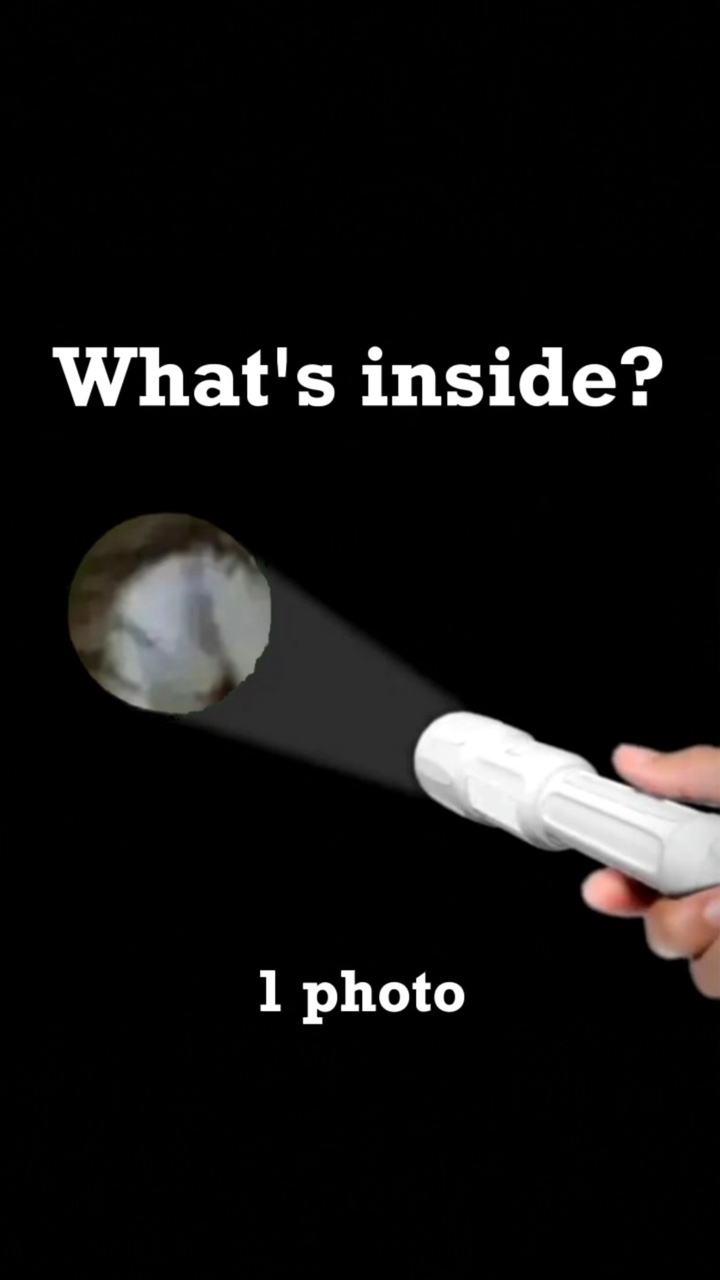 İçinde ne var?