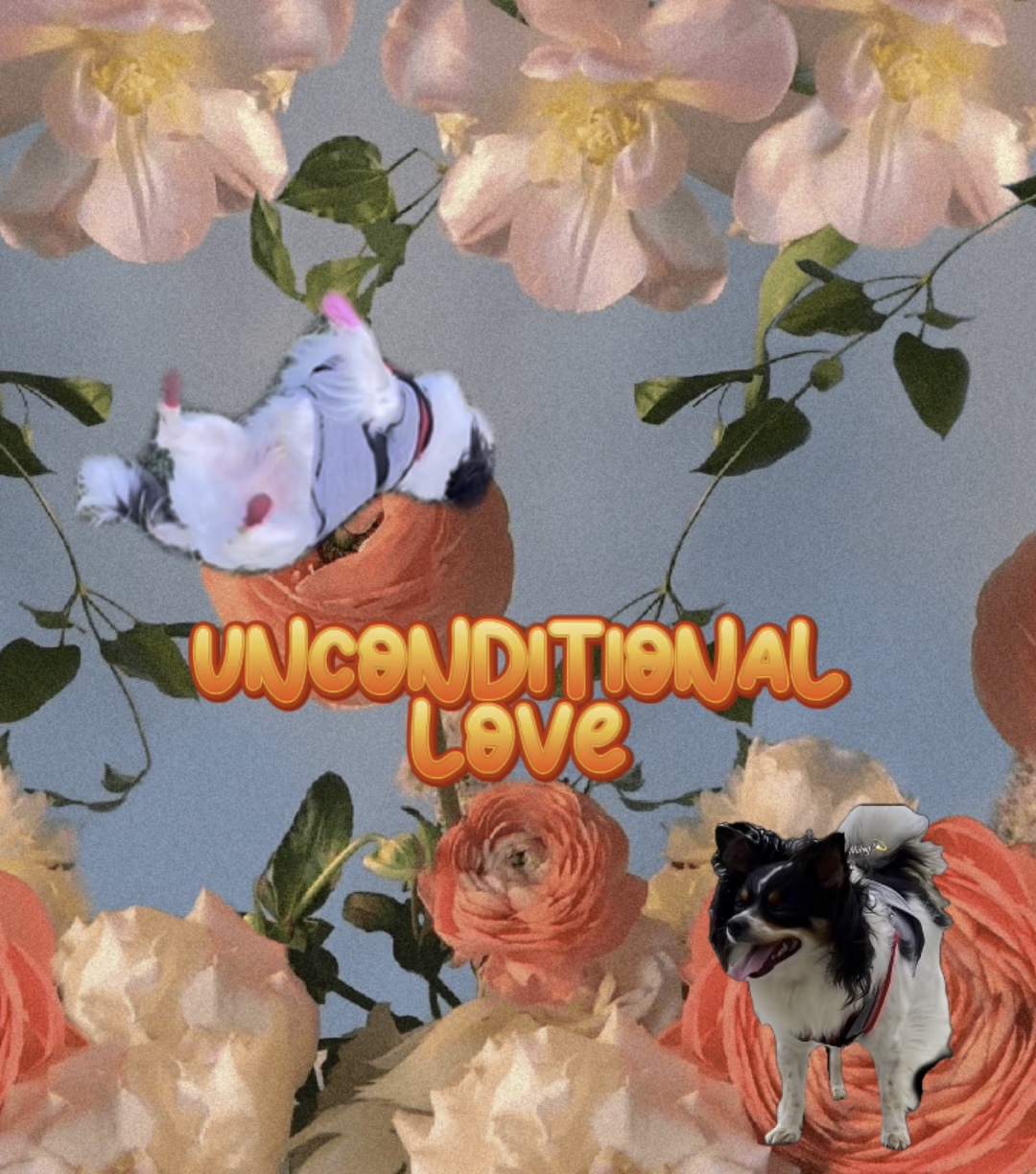 Amour inconditionnel