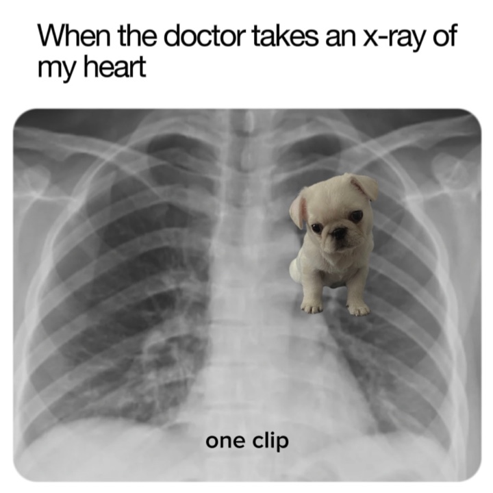 x-roy of my heart