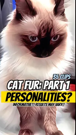 Cat fur: part 1