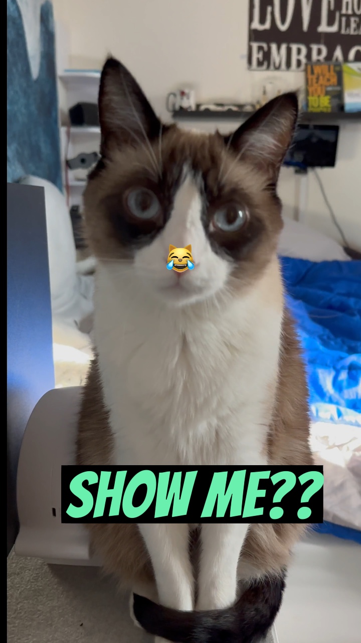 Show me?!? 