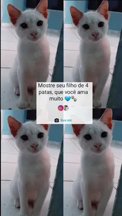 #MundoPet