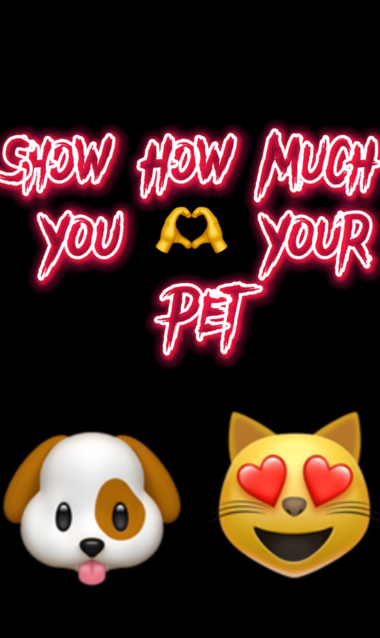 내 Furbaby!🫶