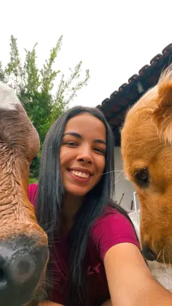 3 animais🐶🐱🐴