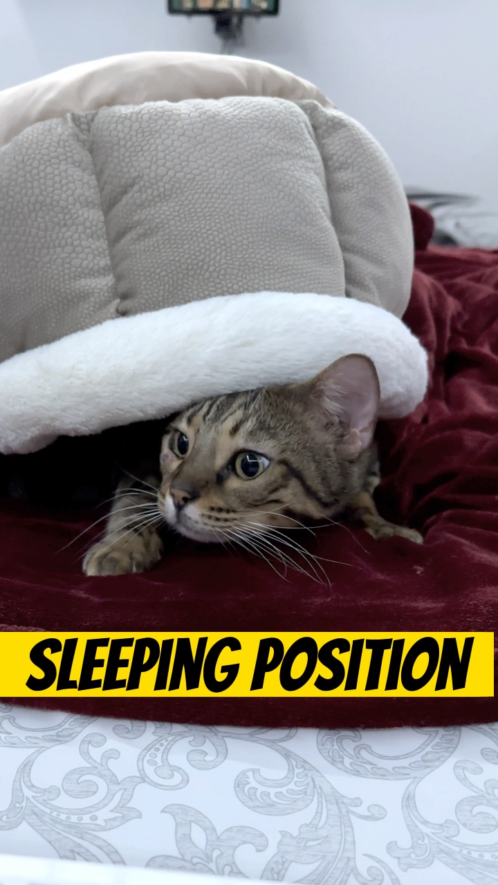 5 Posição de dormir