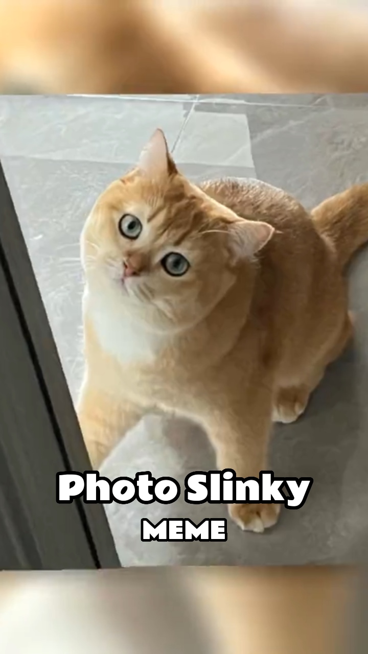 Foto Slinky Meme