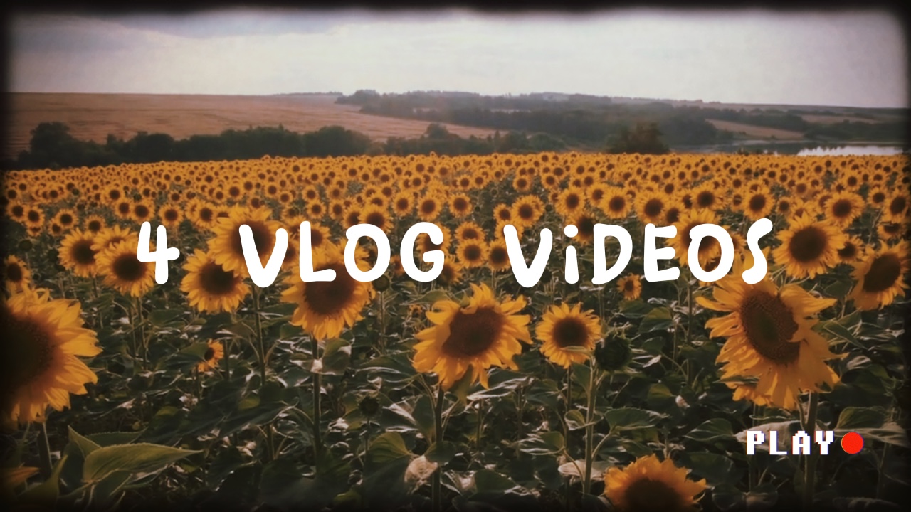 Vlog Anıları