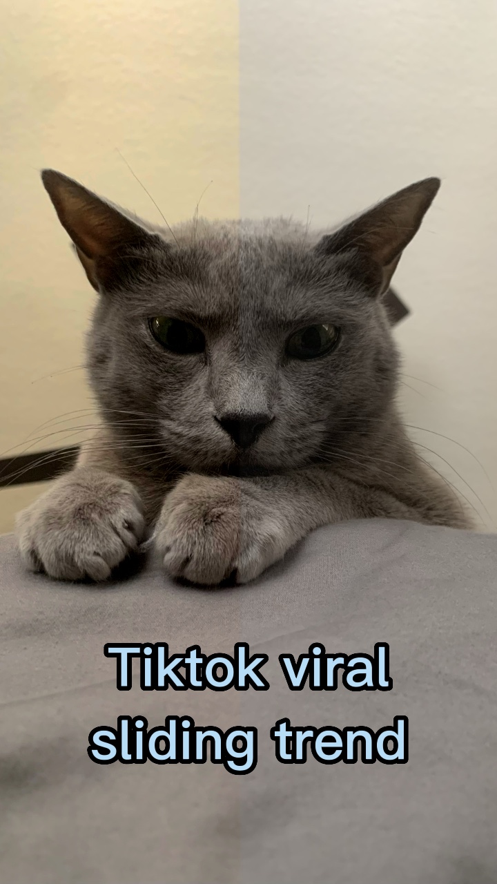 Slide viral do tiktok