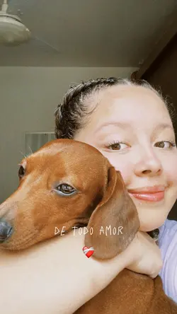 mãe de pet ❤️🩹