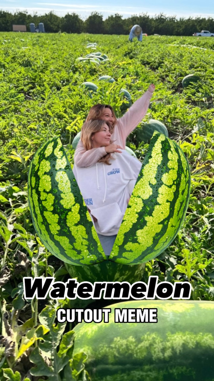 MEME DE SANDÍA
