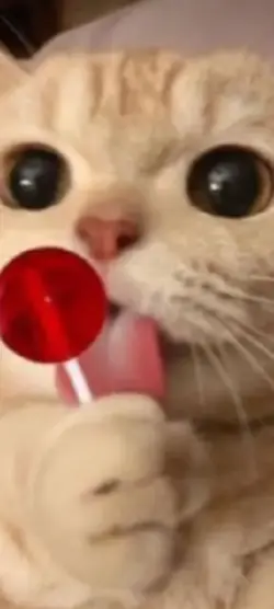 asmr