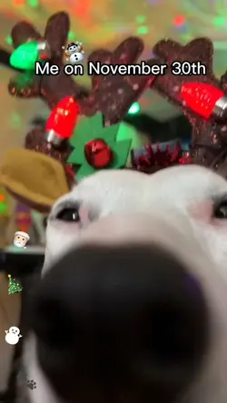 Me on November 30th