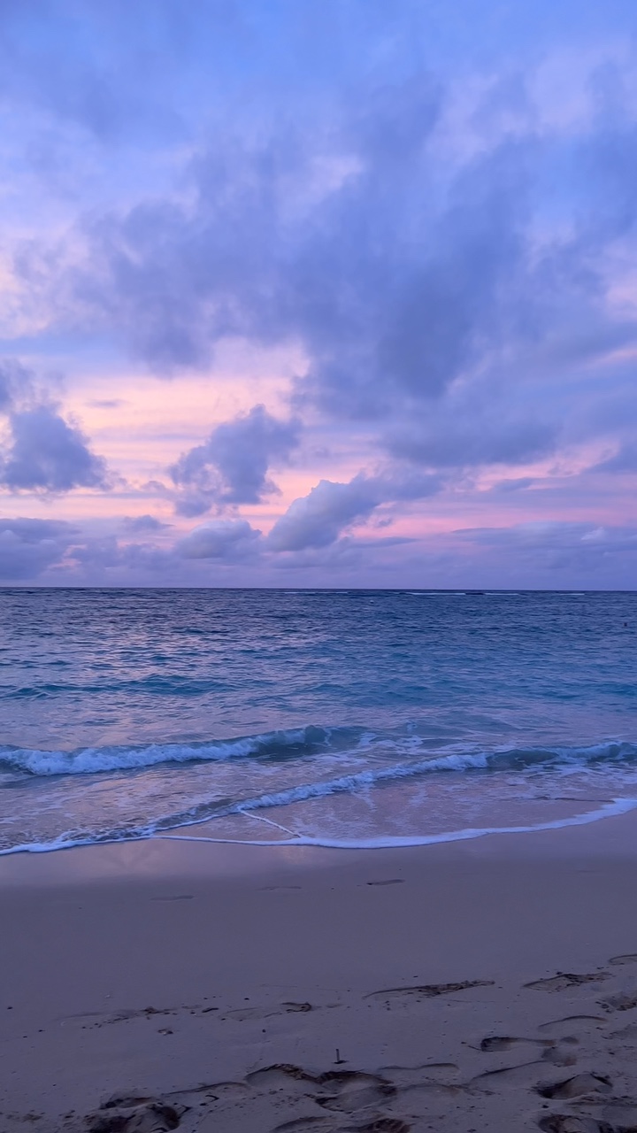Hawaï ✨🐚