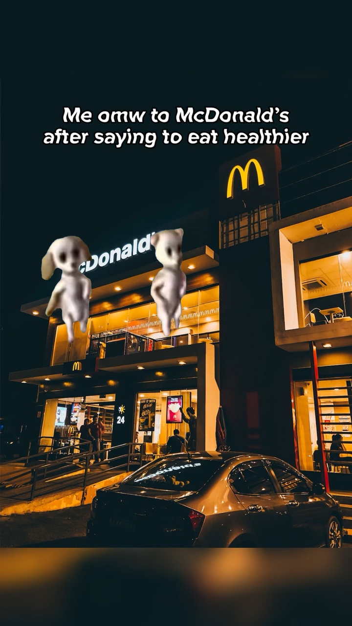 바비 댄싱 도그