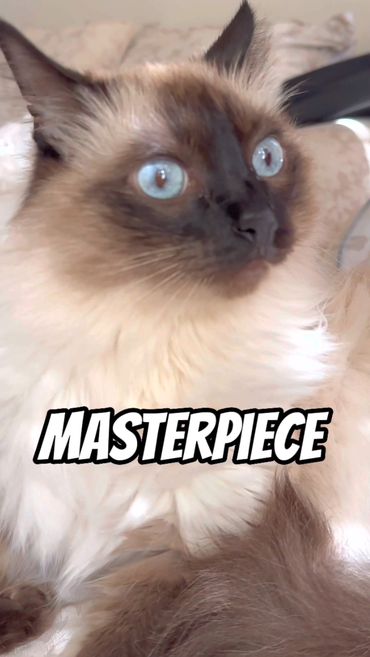 Masterpiece 