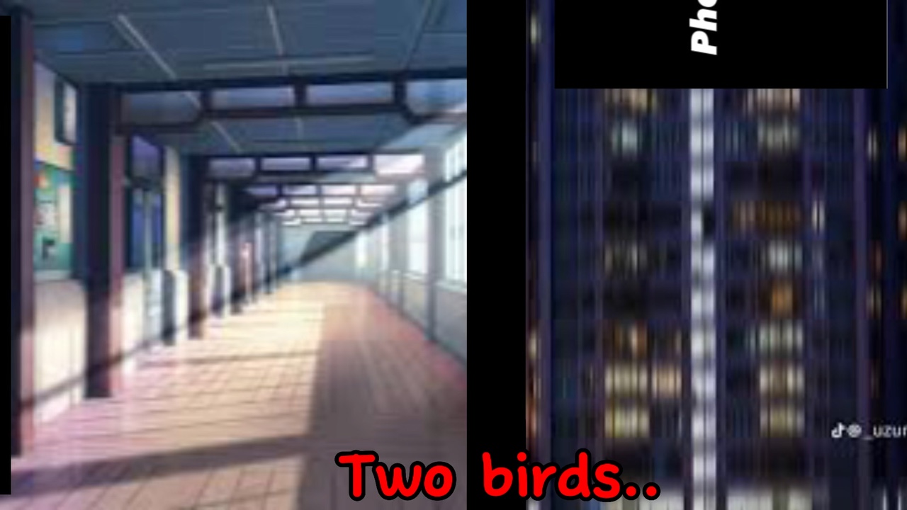 Two birds..