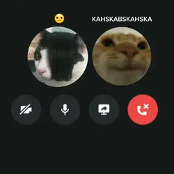 jegue cavaloKAKAKAKA