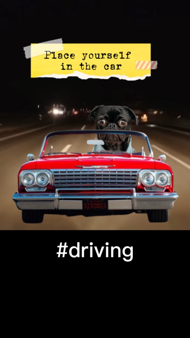 Conduciendo