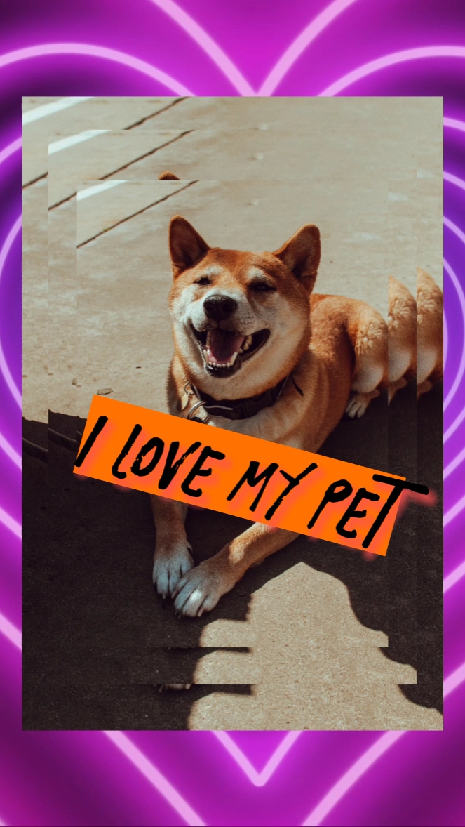 I Love My Pet 