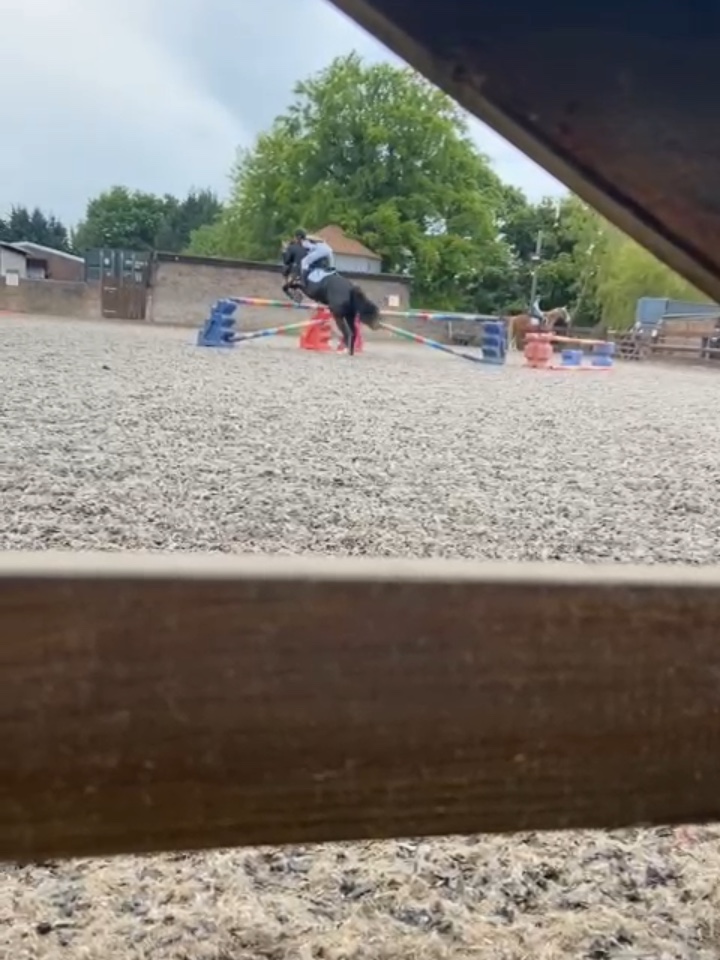 showjumping🫶
