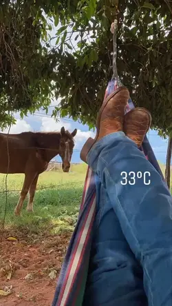 ser vaqueiro