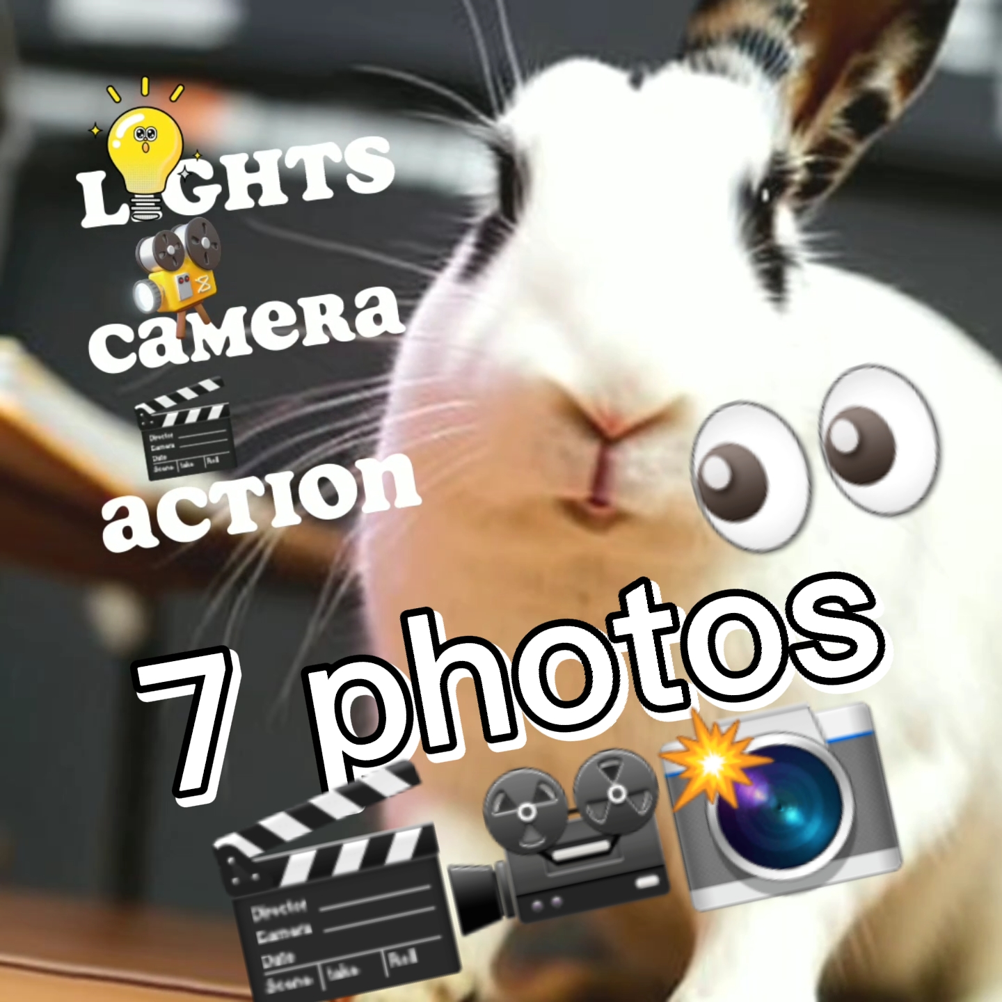 P I C