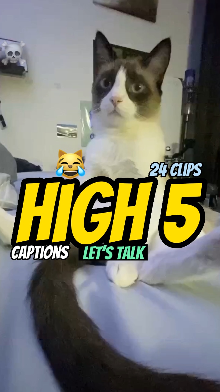 High five! Lets talk