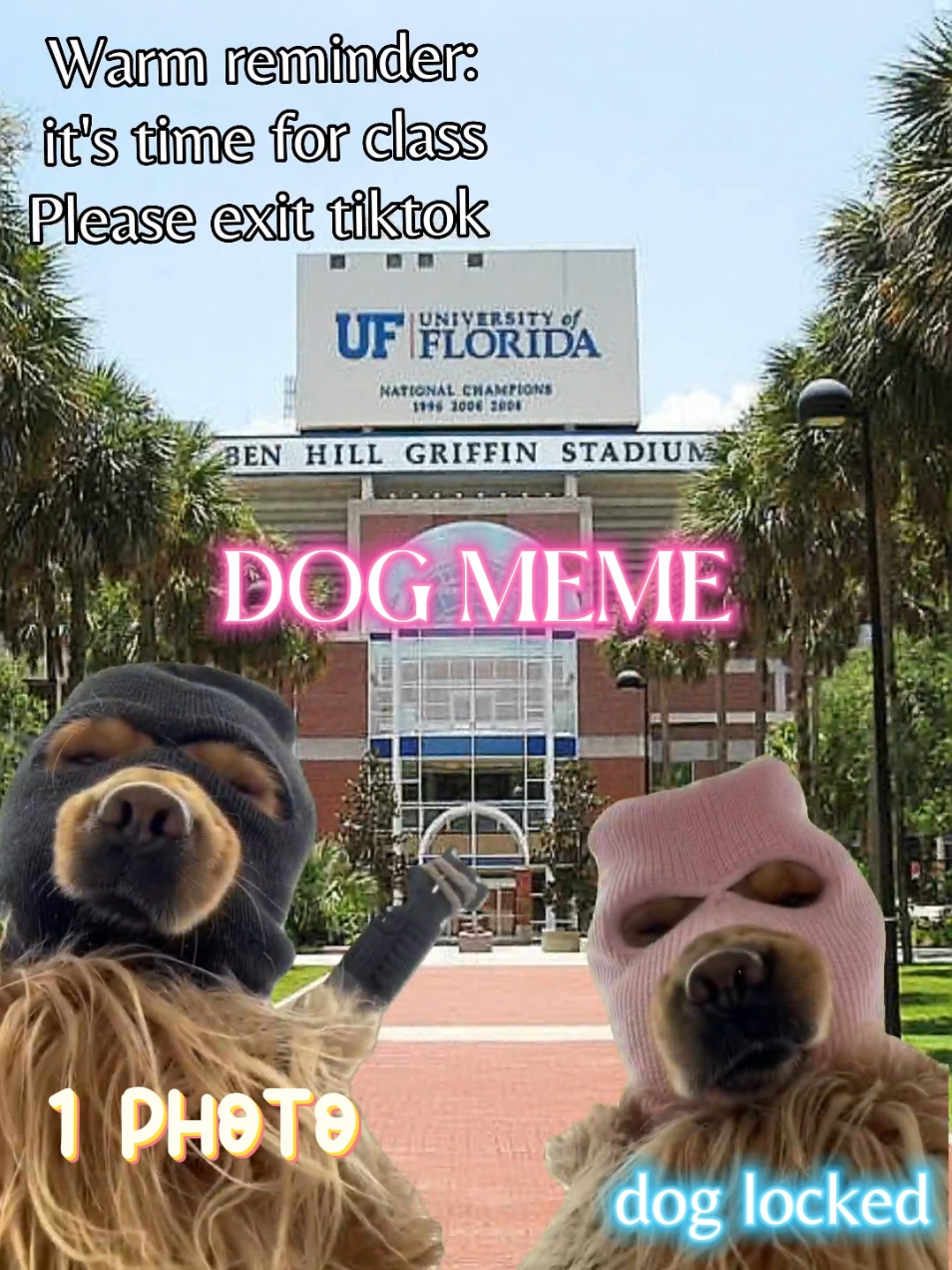 Meme de cachorro