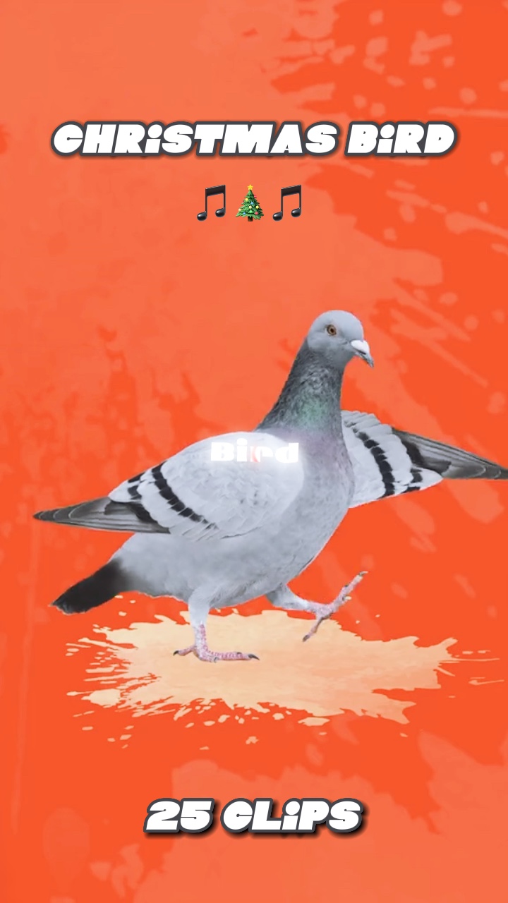 Pássaro de natal