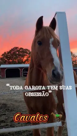 Cavalos 🫶🏼