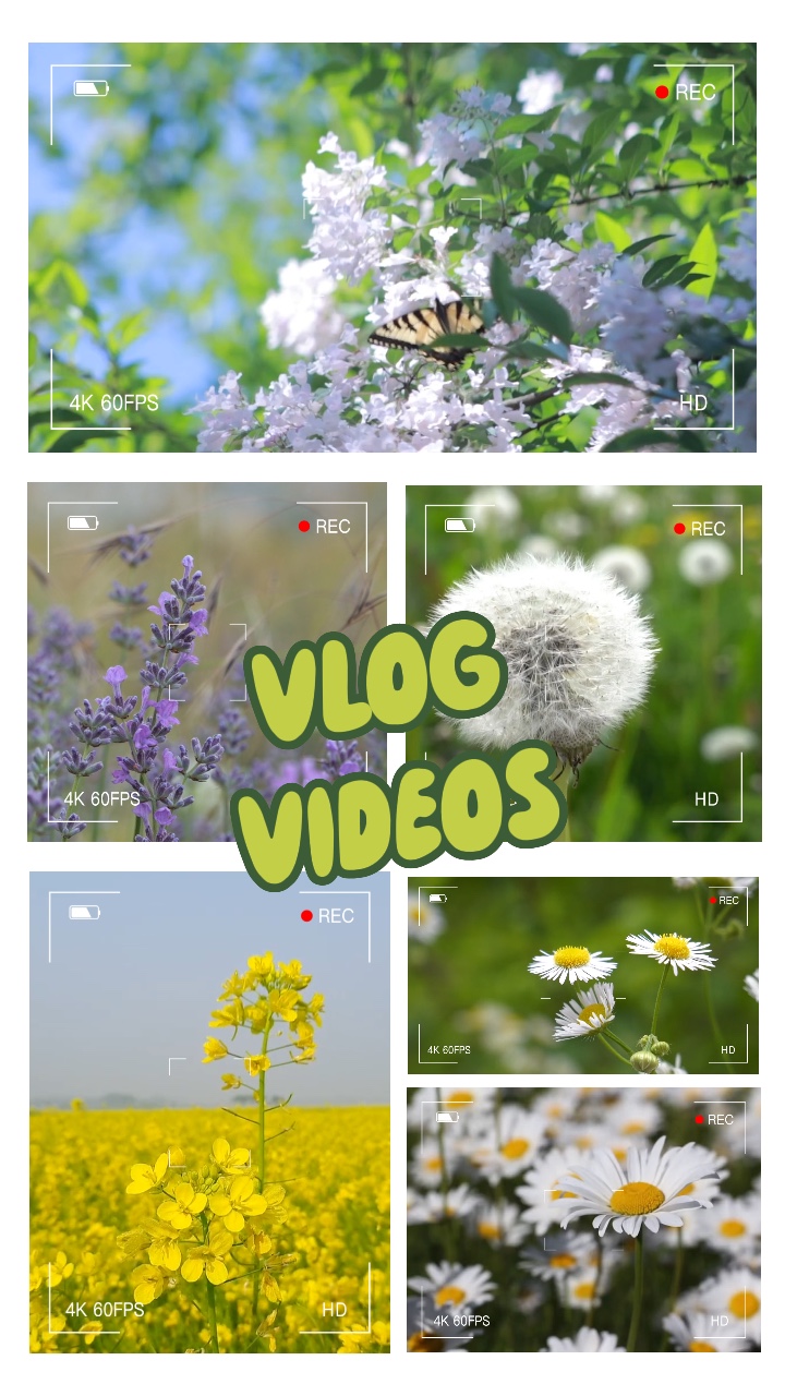 Estilo de Vlog 