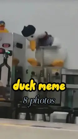 duck meme
